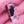 0.05 CAMELLIA | Velvet Single Length Collection
